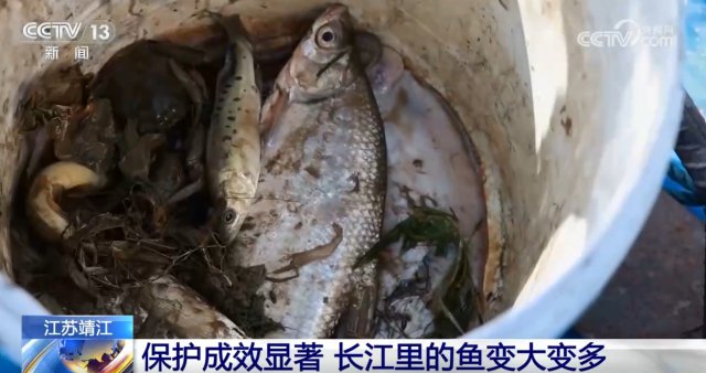 汣Ч ӡࡱ֤ˮԴ